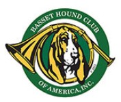 basset hound puppies for adoption